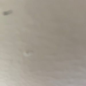 Meet your Posher, Peter